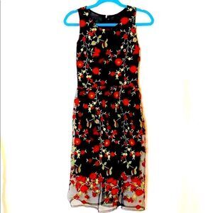 Zara Black Party dress with red embroidered flowers cute for dinner size 2